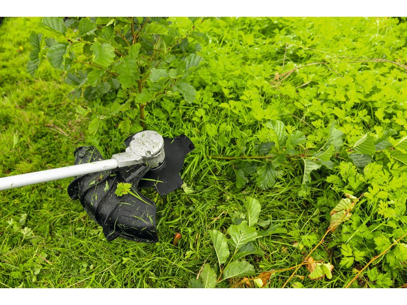 PRO Rezilo kosilnice Bosch za podrast, 25 cm, 4T, F016800665